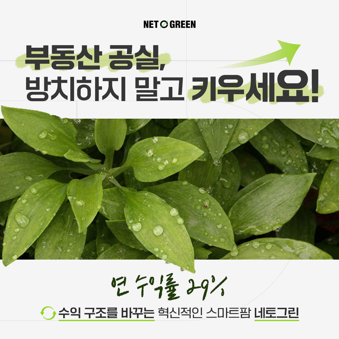 네토그린