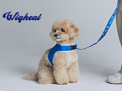 Wigheal