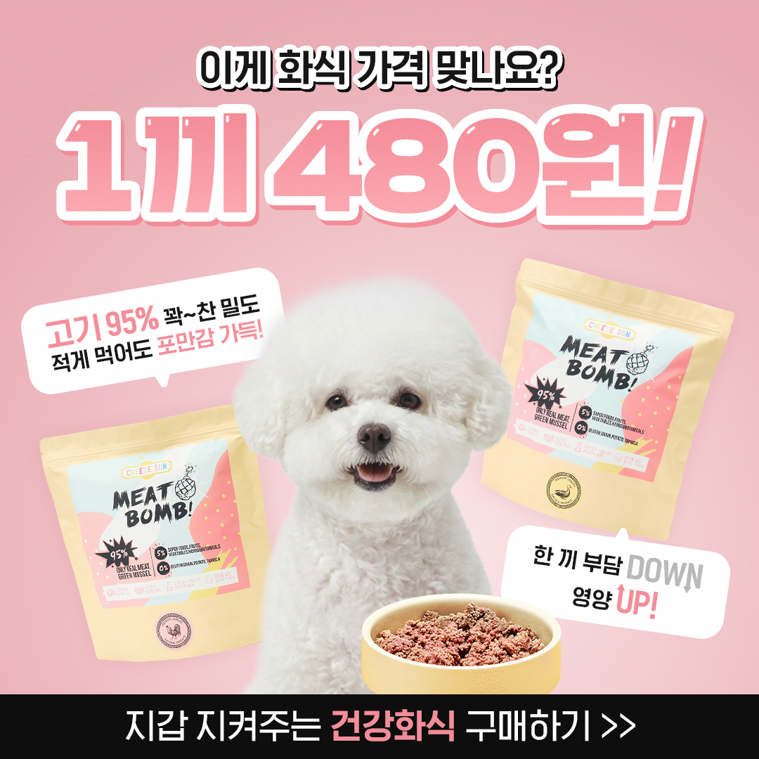 치즈썬