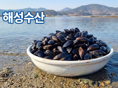 해성수산